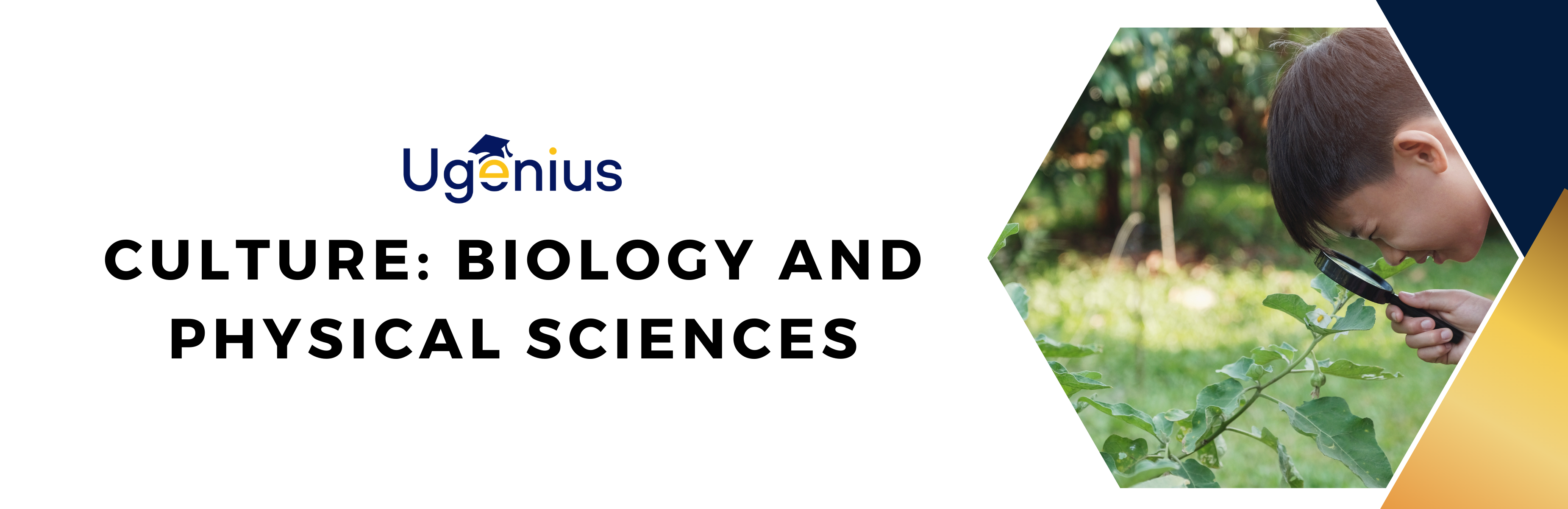 Course Image Culture: Biology & Physical Science [UMB3BPS]
